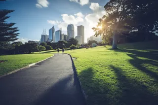 Zero-Emission Robotic Mowing